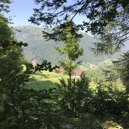 Mountain Petrovo Brdo